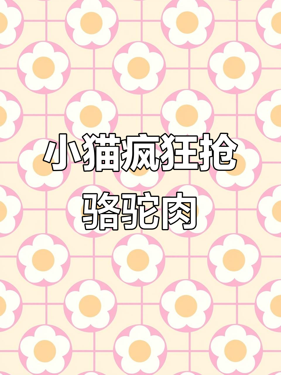 猫咪偷吃骆驼肉干,拦都拦不住!