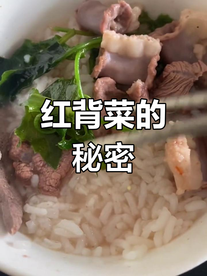 红背菜遍地,却鲜为人知其美味与功效,我先尝为快!