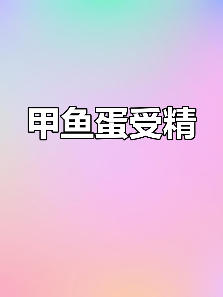 甲鱼蛋的孵化过程
