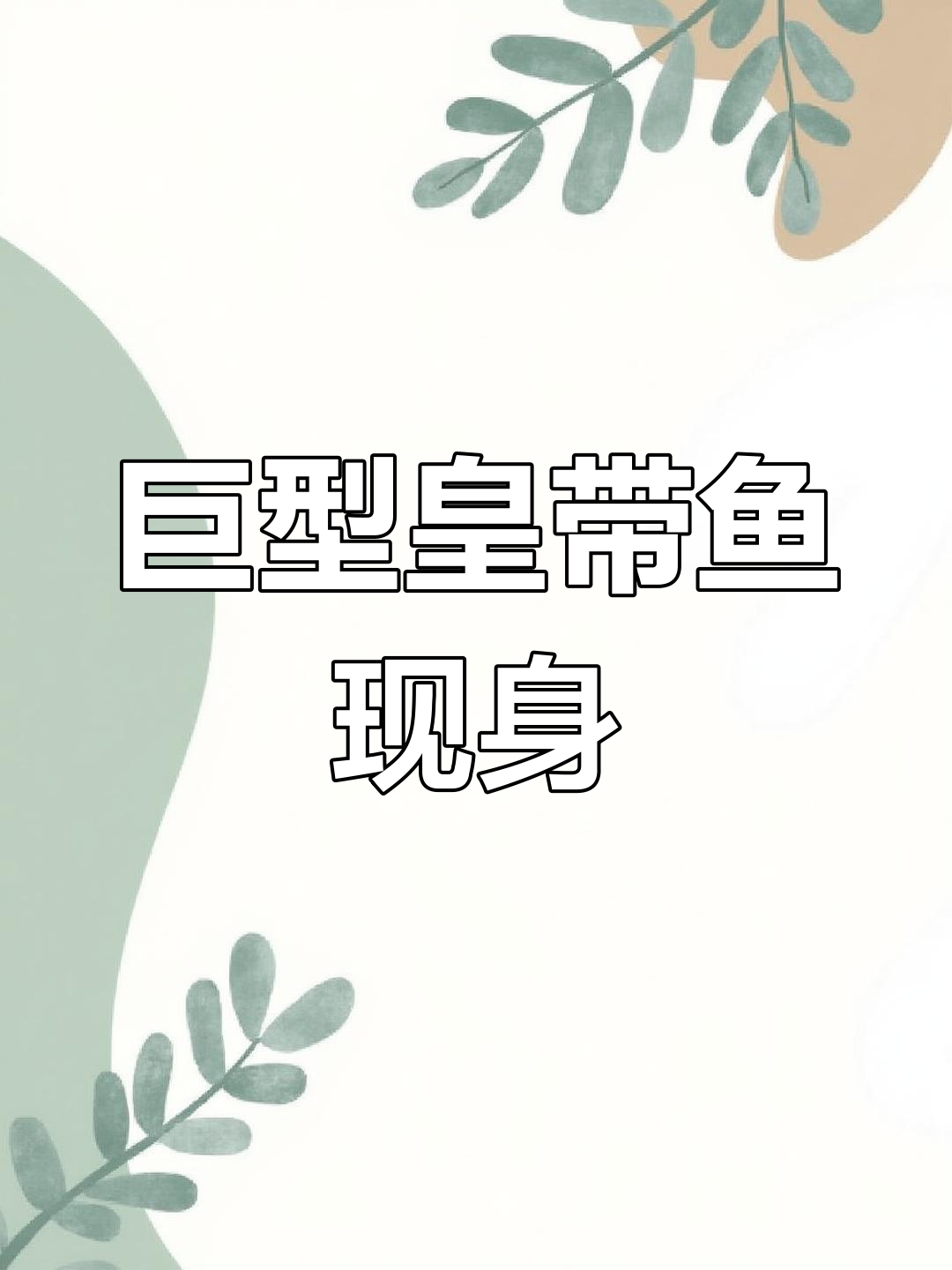 智利渔民捕获巨型皇带鱼,震撼登场!