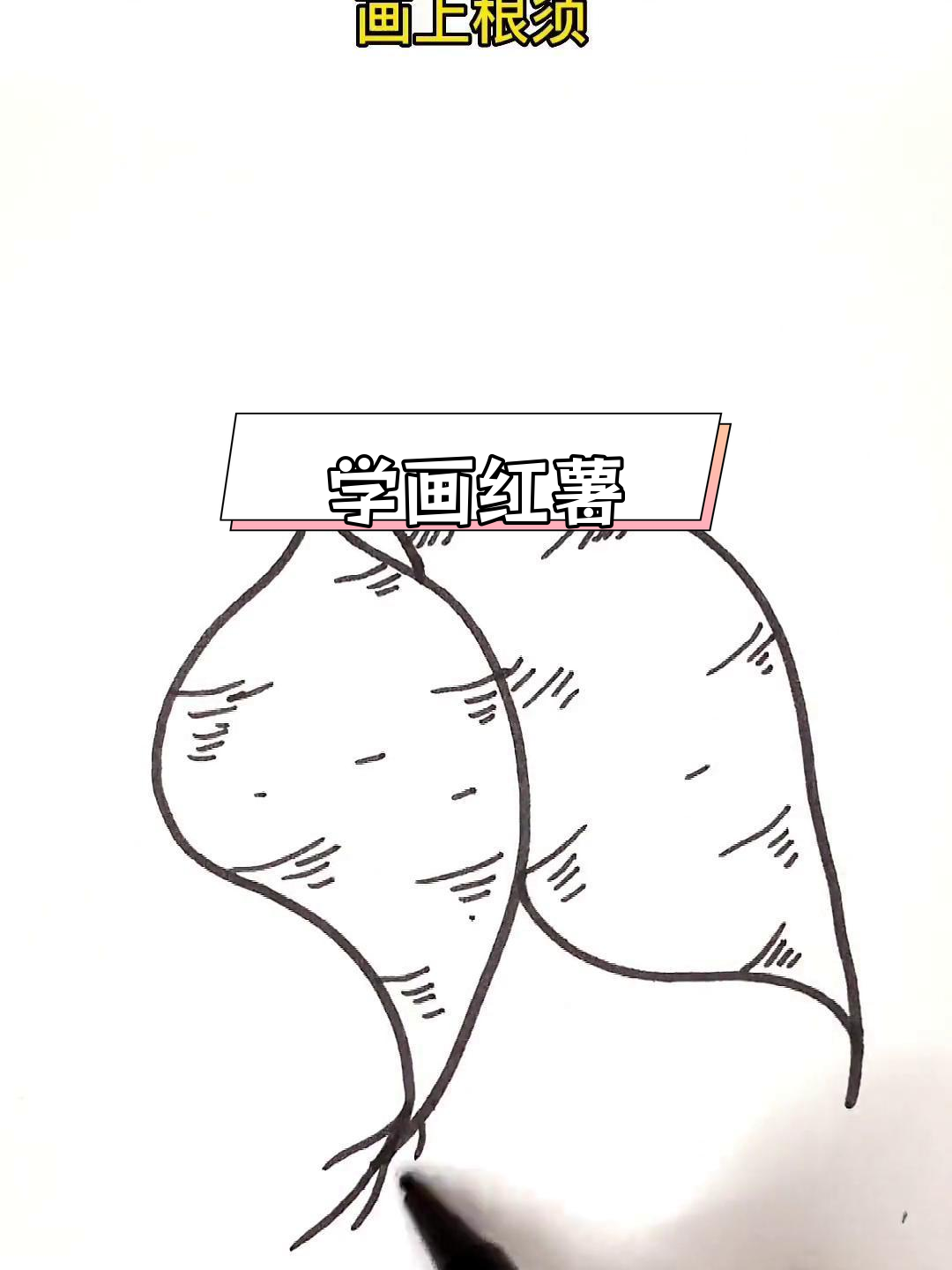 简单红薯简笔画教程,轻松学会