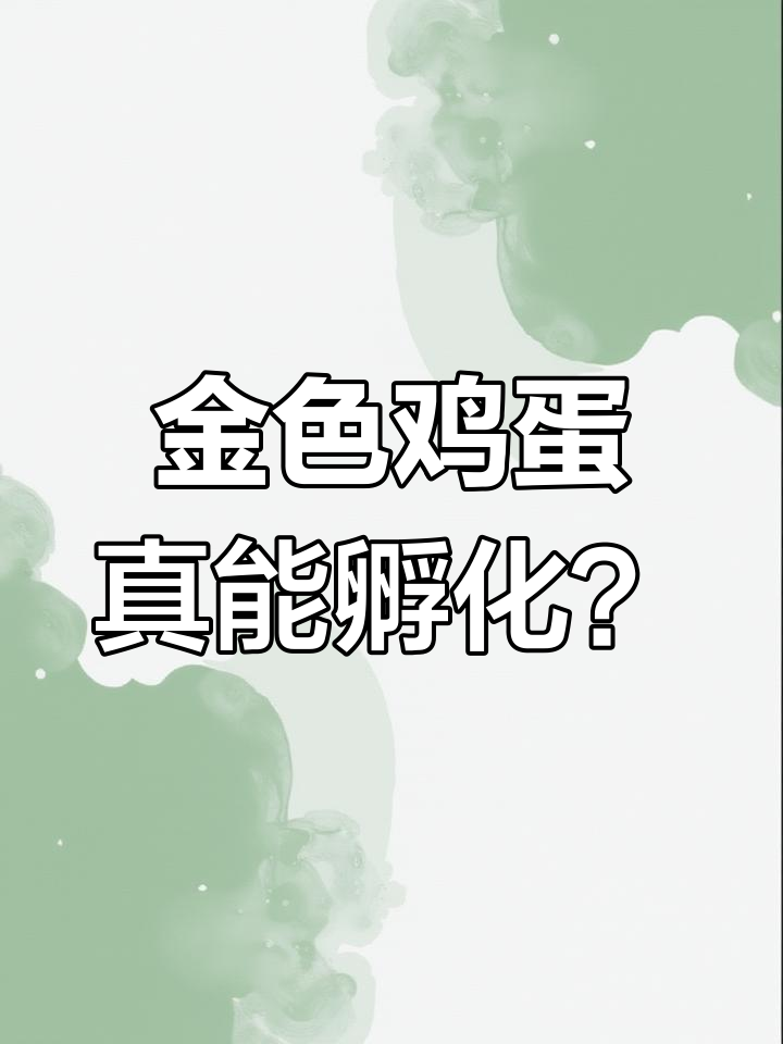 母鸡下出“金蛋”,花纹独特,竟然是真的!