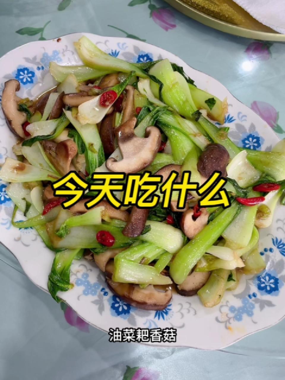 农场午餐之营养均衡有鱼肉有蔬菜 新农人计划2023 记录真实生活 在平凡日子里热爱生活 抖