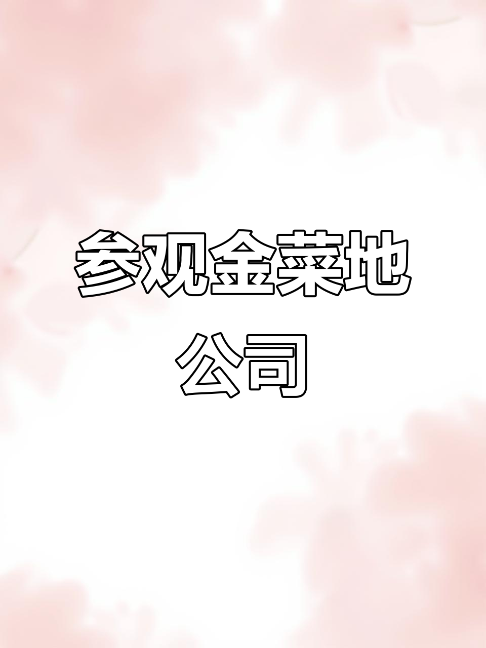 小哥带我们探访金菜地公司,揭秘背后的故事