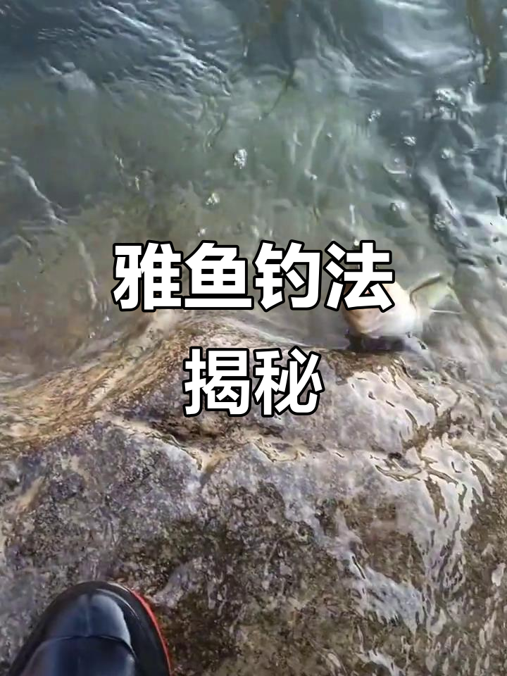 亚鱼线组搭配技巧,乱石结构藏大货