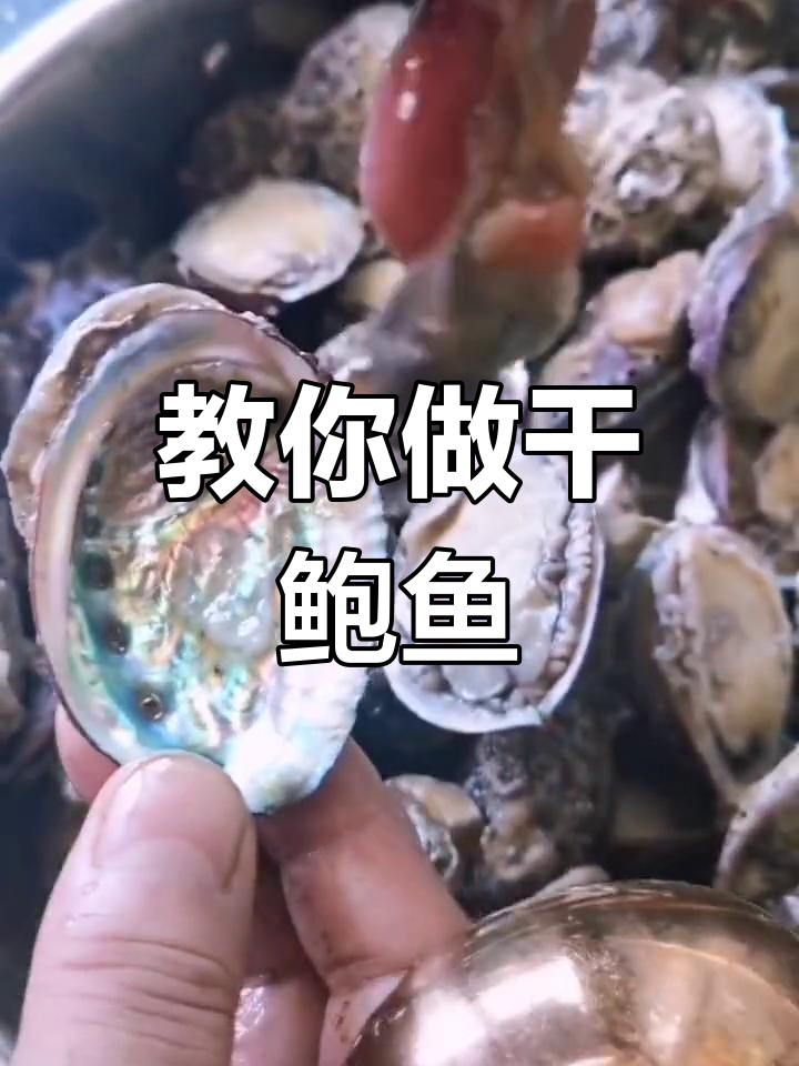 自制干鲍鱼,秋冬煲汤必备美味