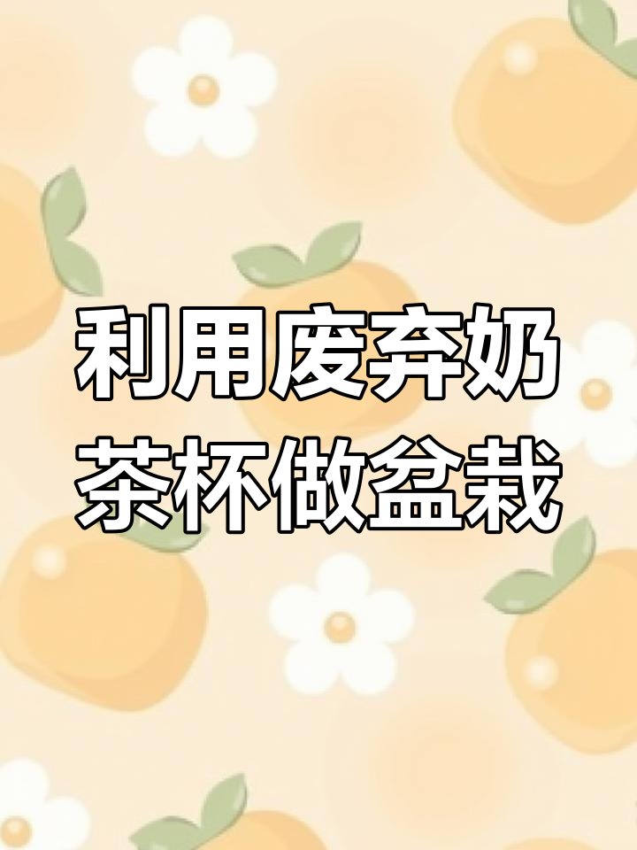 喝完奶茶的杯子变废为宝,DIY桌面小盆栽教程