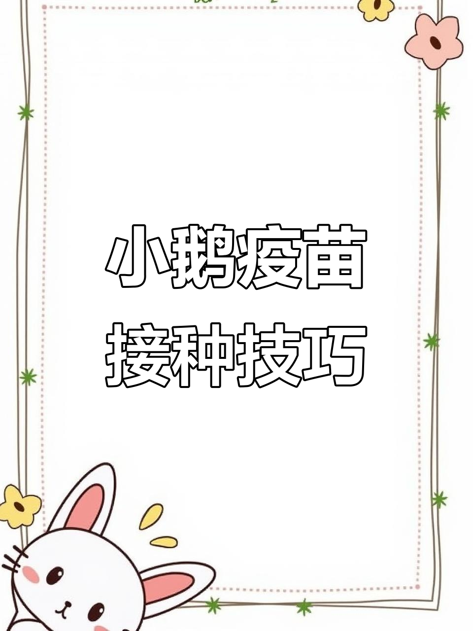 小鹅疫苗接种全攻略,护肠菇高发期必打!