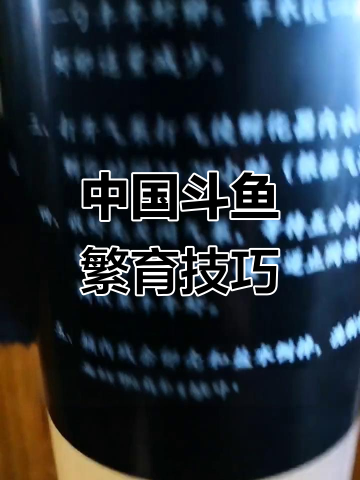 坚持热爱,中国斗鱼繁殖技术揭秘