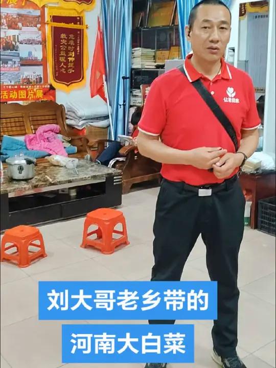 刘大哥老乡带的 河南大白菜