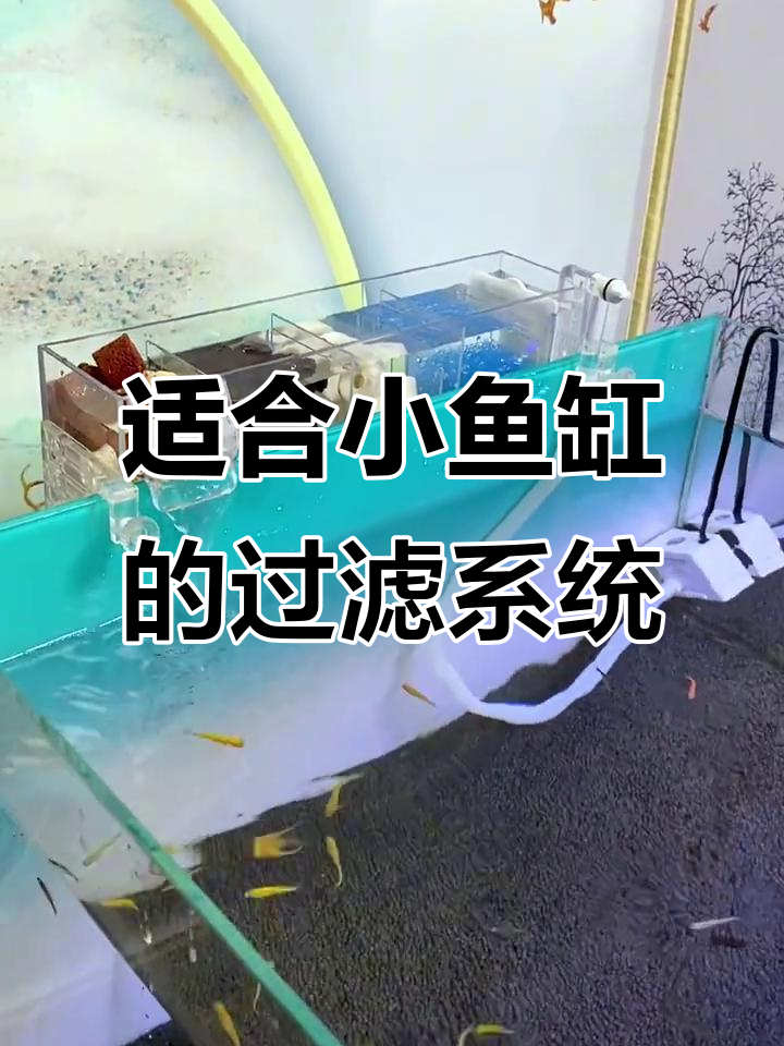 小鱼缸必备循环过滤器，轻松打造健康水环境