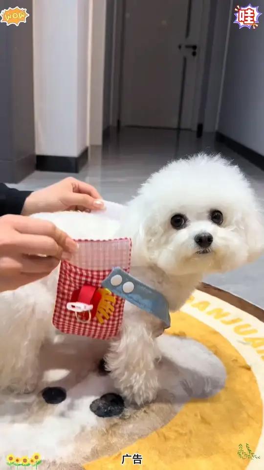 宠物狗狗猫咪鸭子装备套帽子胸背外出牵引用品春夏透气狗狗衣服萌宠出道计划 透气狗狗衣服 2s