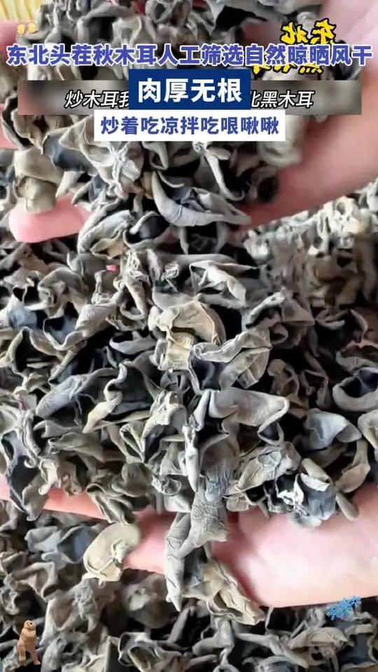黑木耳 干响螺片煲汤的做法 海茸的做法 海胆菜谱 东北头茬秋木耳,人工筛选自然晾晒风干,肉