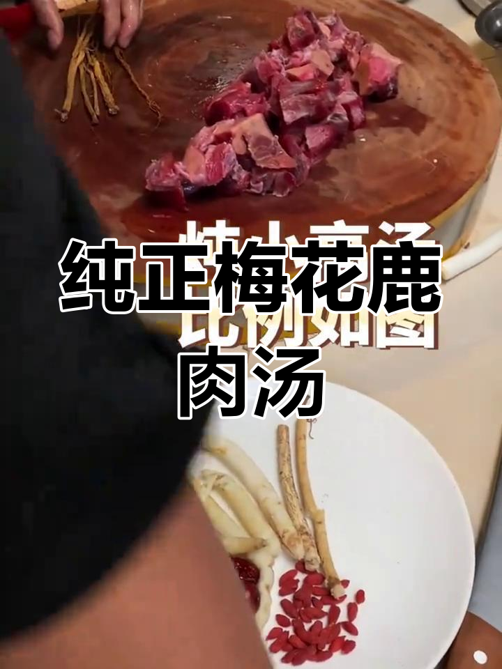 秋冬滋补梅花鹿肉汤,温补养生炖法