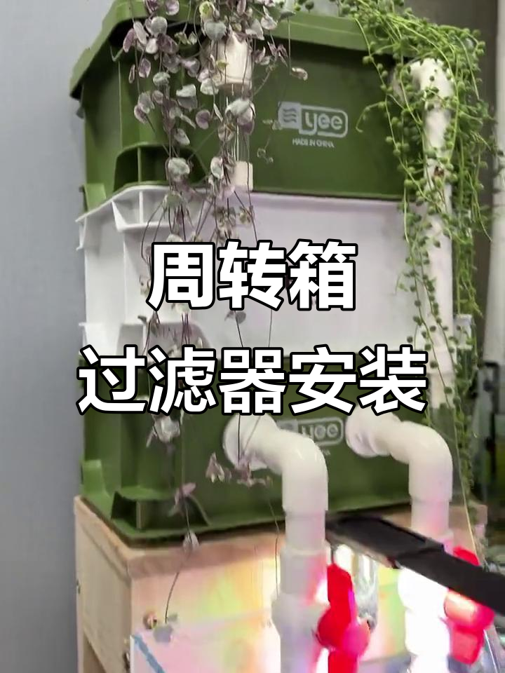 鱼缸周转箱过滤系统安装全攻略,轻松打造高效水质