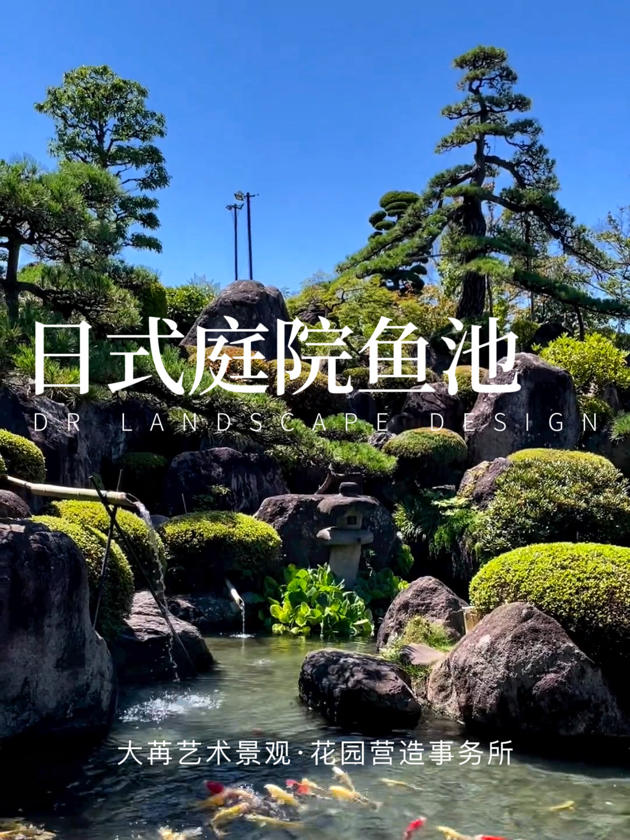 日式庭院鱼池分享|自然灵动的空间交互感