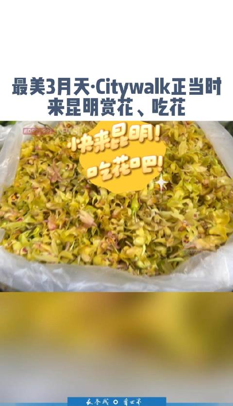 「又被昆明春天的菜市场惊艳了!」大量春花、春菜相继上市,各种稀奇古怪的花,你吃过几种?Ci