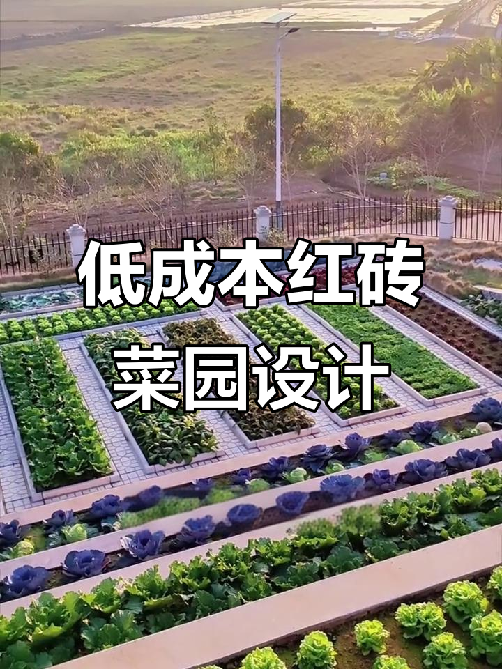 红砖打造美丽菜园,乡村小院改造全攻略