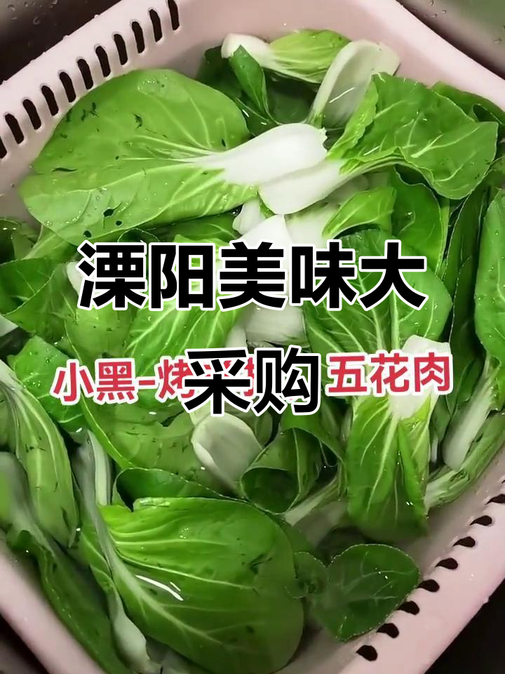 冰箱蔬菜告急,溧阳美食大作战!羊排、青菜一网打尽