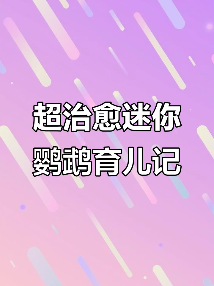 迷你鹦鹉父母全程守护,从产卵到孵化全过程记录