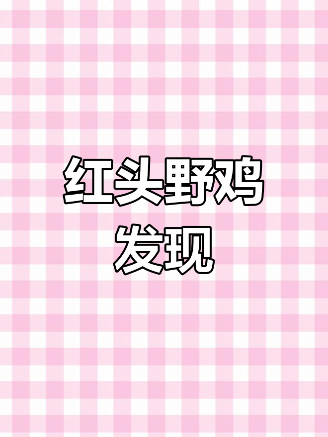 找到红头野鸡,生长情况良好