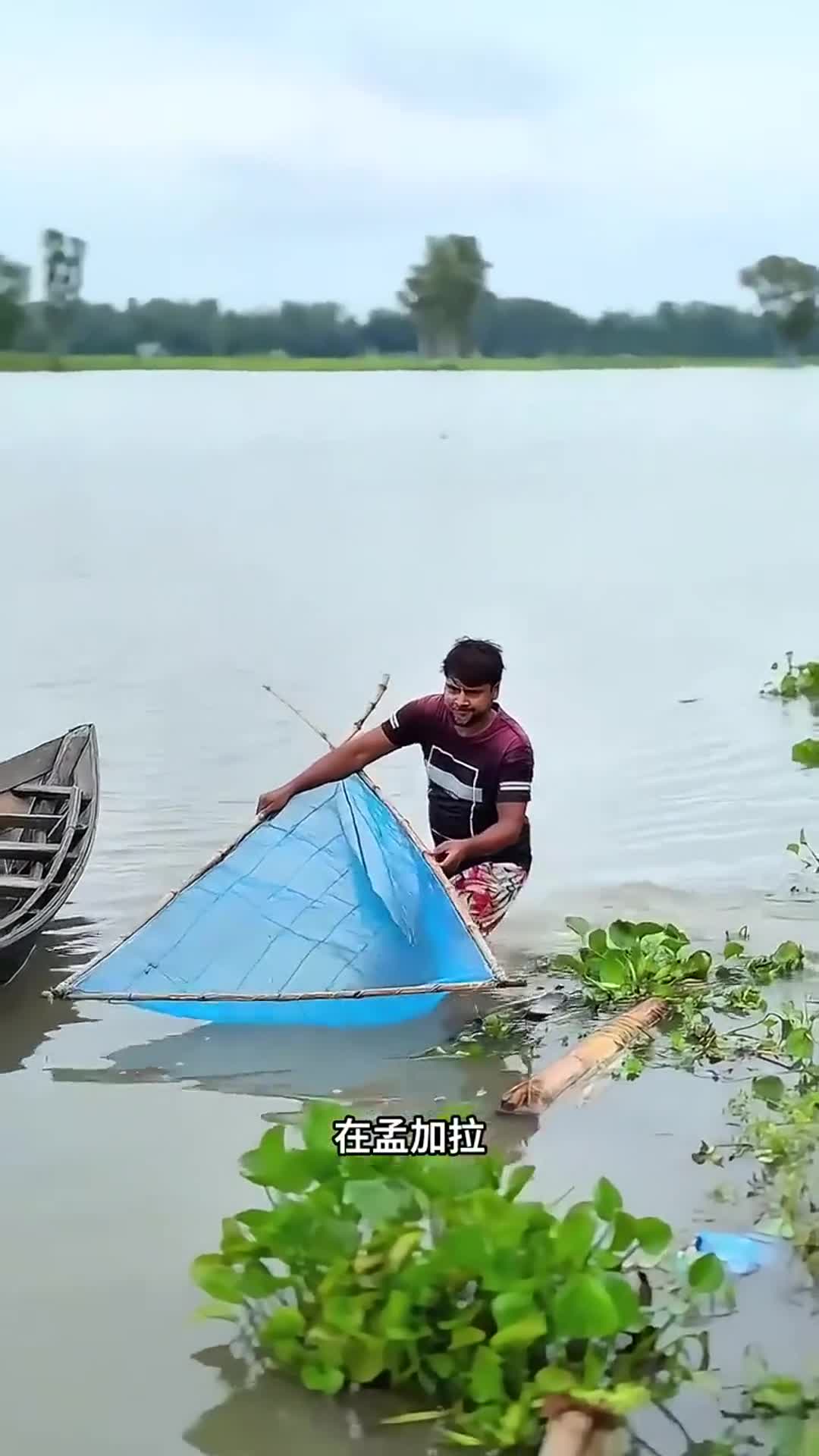 孟加拉 “盲盒” 捕鱼法:捞草碰运气,一网定输赢!