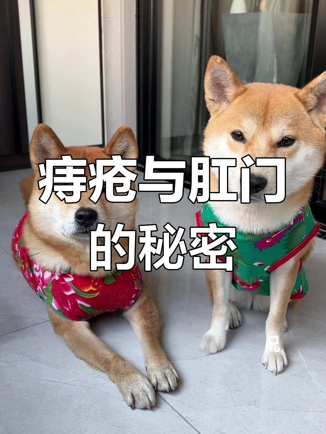 痔疮手术后的肛门变化