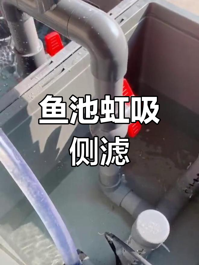 鱼池虹吸侧滤系统详解:如何高效过滤杂质