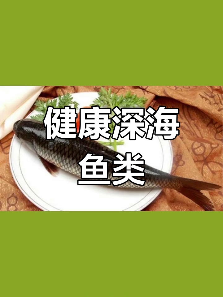 深海鱼种类推荐,健康又美味