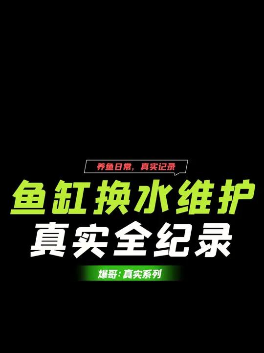 1.8米溪流鱼缸,日常换水维护全纪录,有技巧有干货!