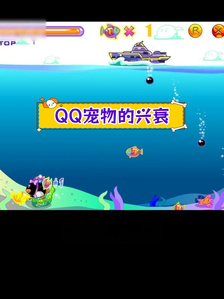 QQ宠物为何消失?