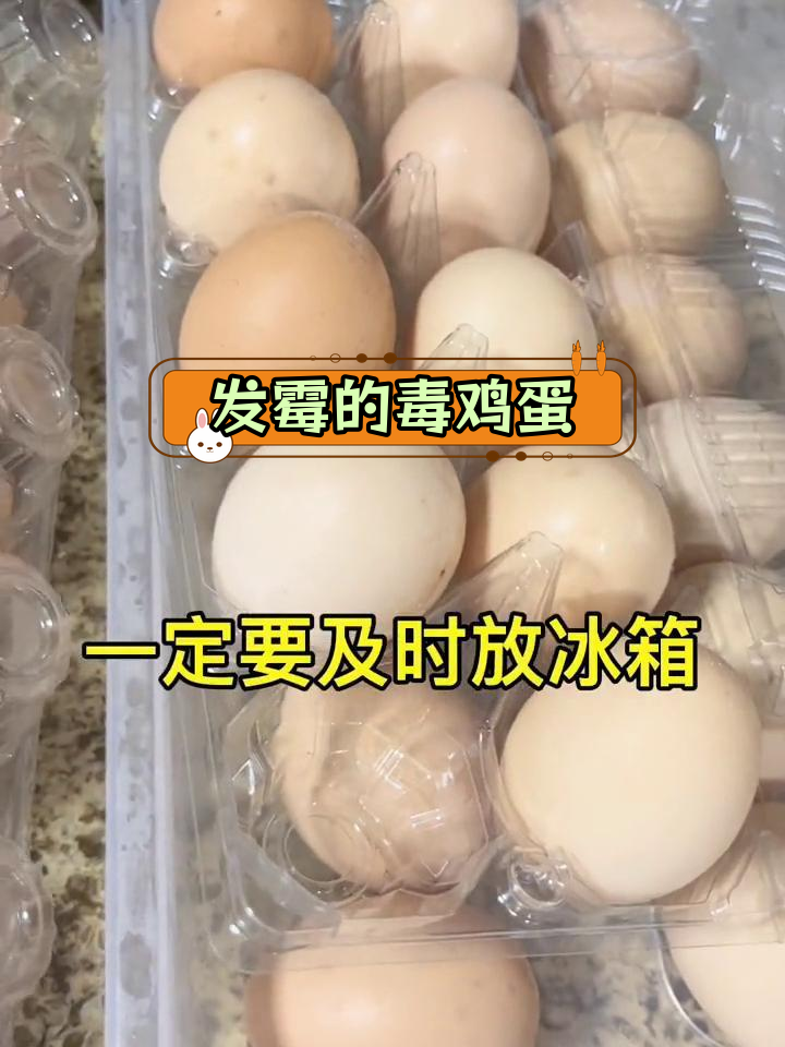 梅雨季鸡蛋易发霉,存放不当危害健康