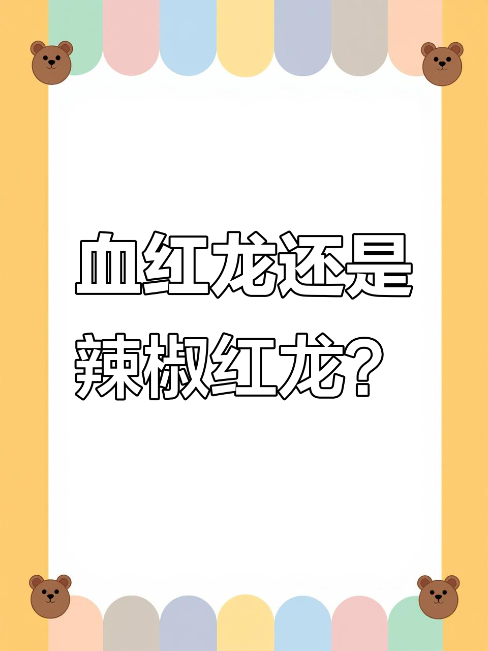 血红龙与辣椒红龙的真相,别再被商业词汇误导