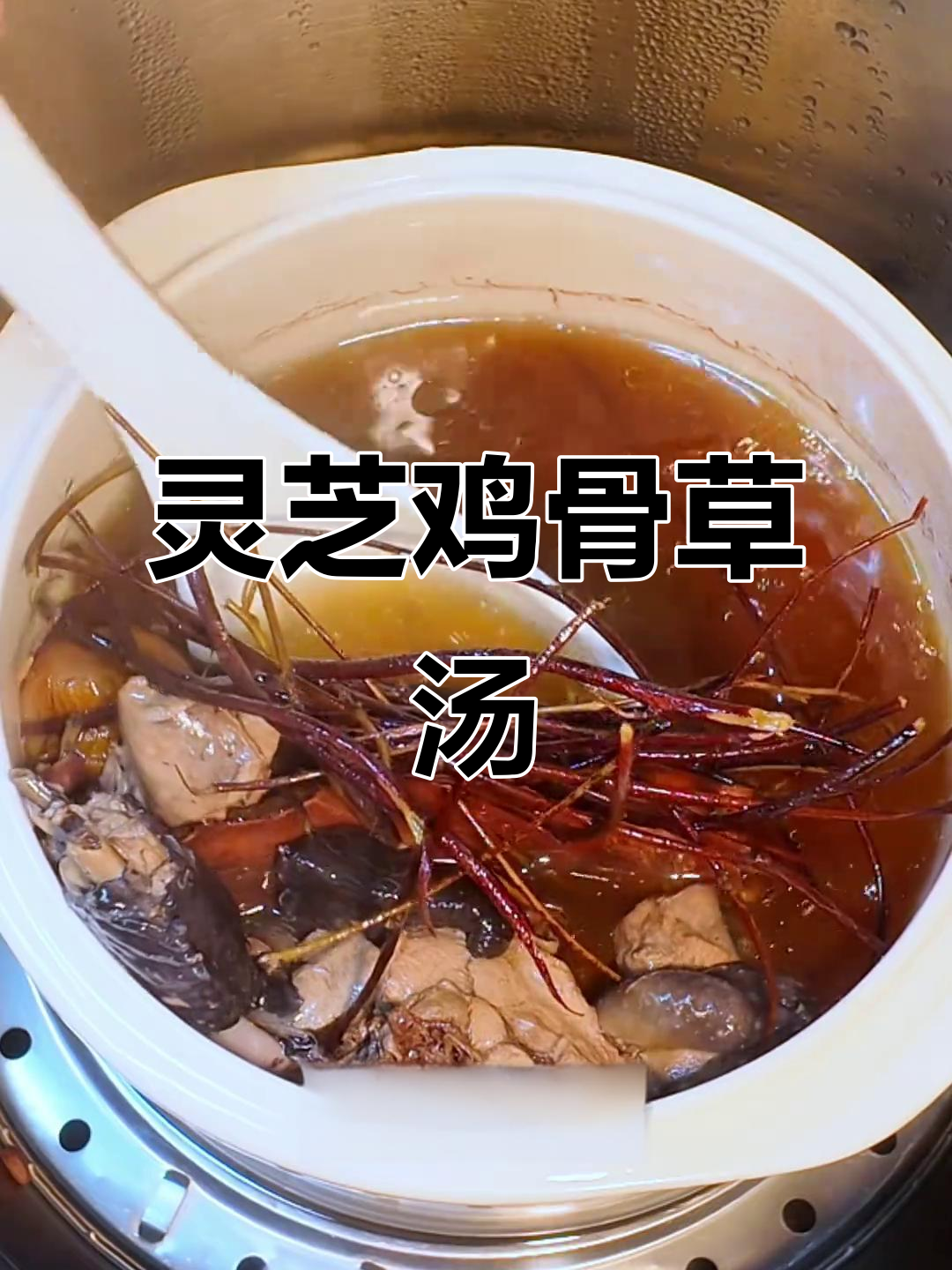 秋冬滋补汤，灵芝鸡骨草炖汤