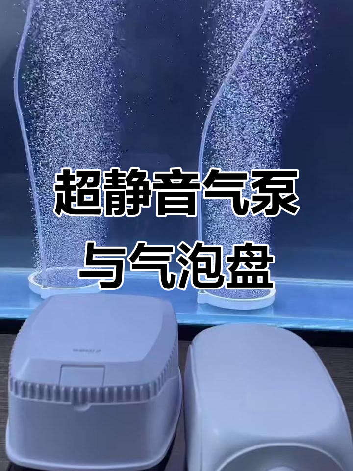 鱼缸静音增氧必备:超低噪音气泵与气泡盘搭配推荐