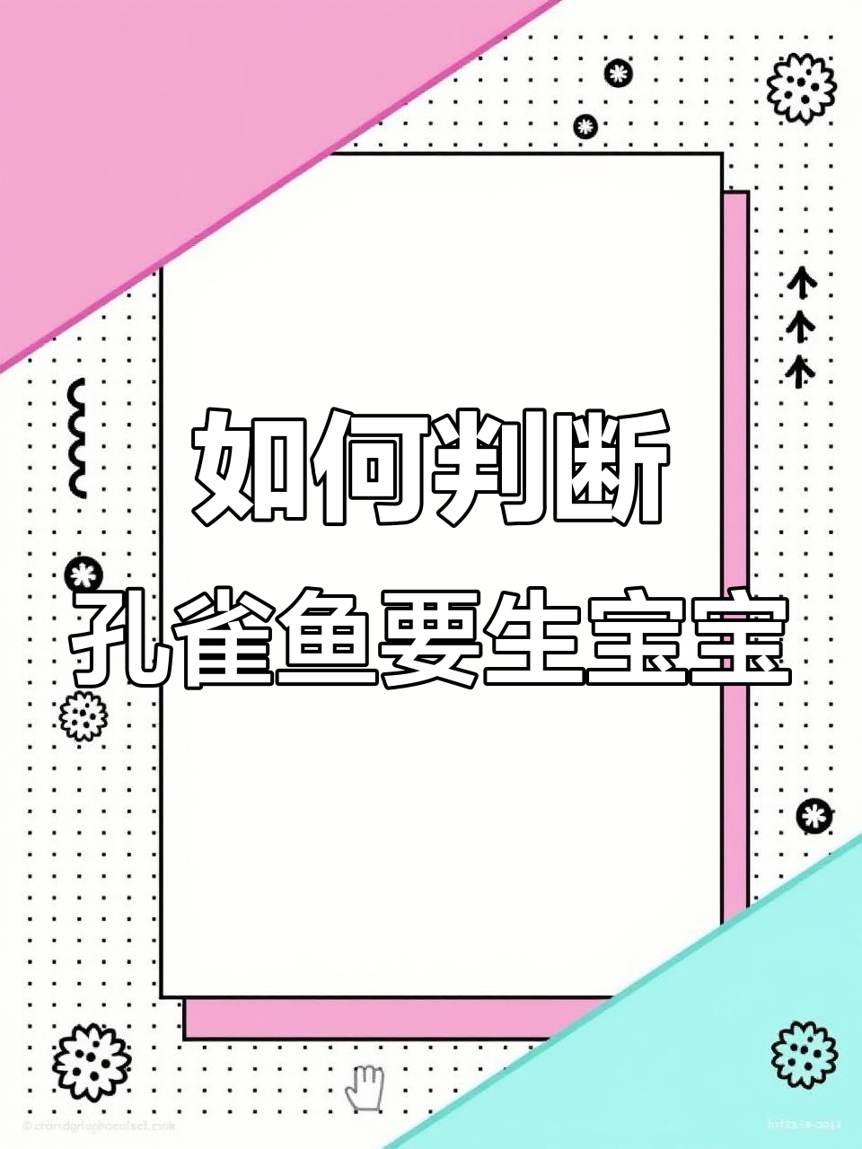 孔雀鱼临产征兆与护理技巧,宝宝出生后如何照顾