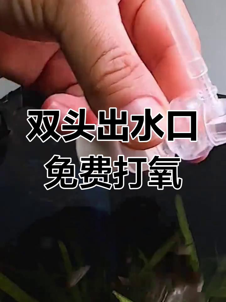 鱼缸增氧新方法,双头出水口加装鸭嘴过滤器轻松实现