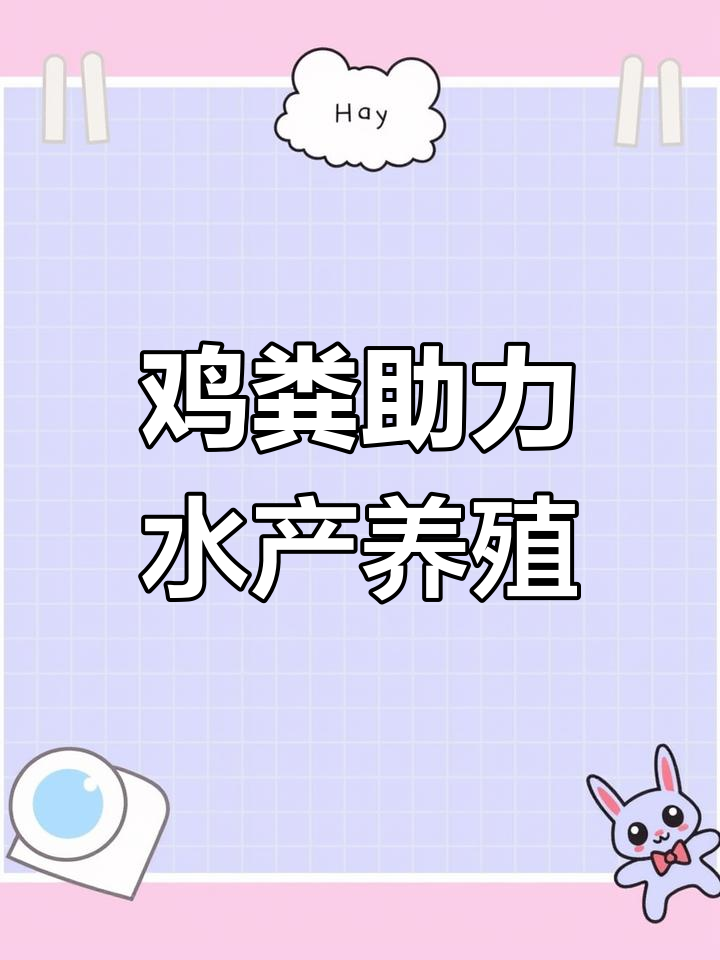 鸡粪发酵养鱼,水质提升又增产