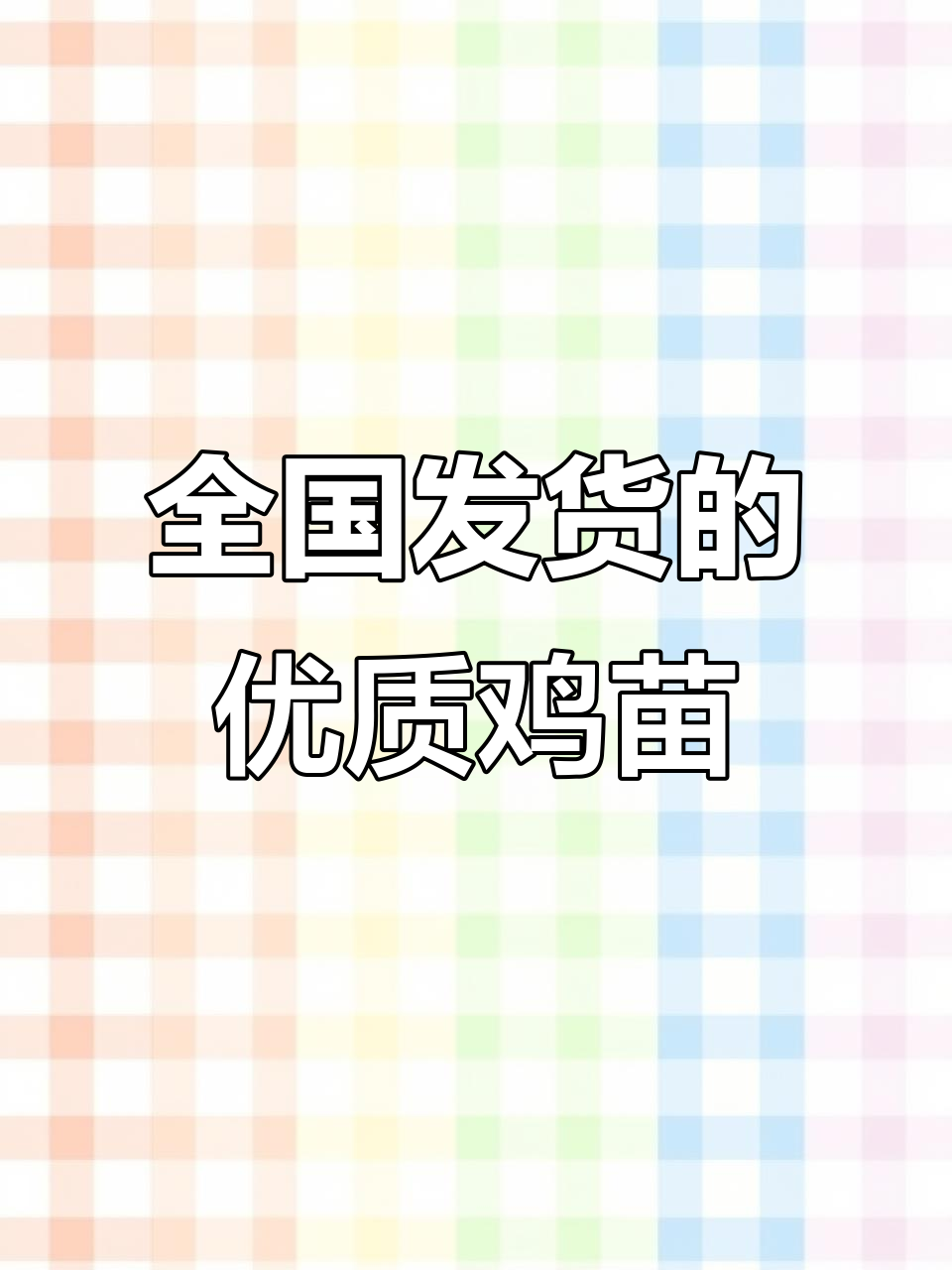 优质鸡苗批发，全国各地发货，养小鸡必备