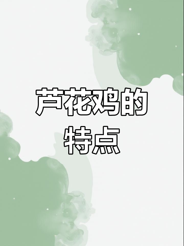 芦花鸡与普通鸡的差异解析