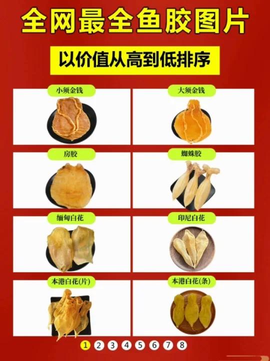 全网最全鱼胶品种及图片大全