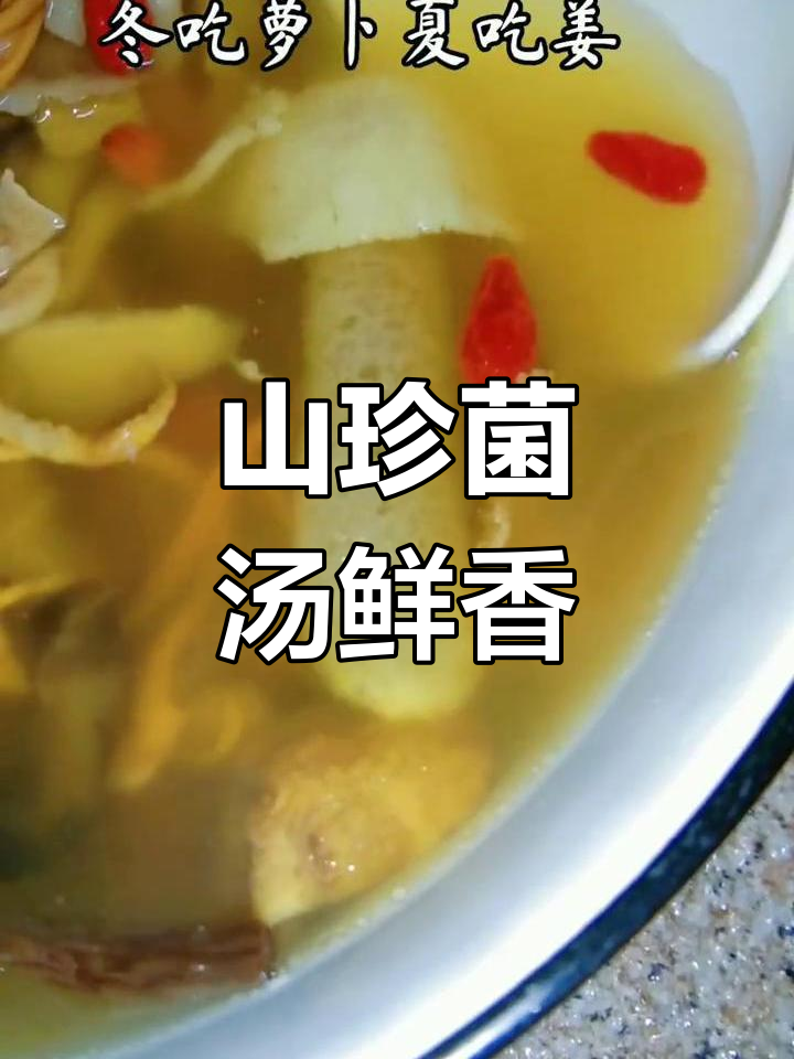 四季养生汤,山珍野菌滋补美味