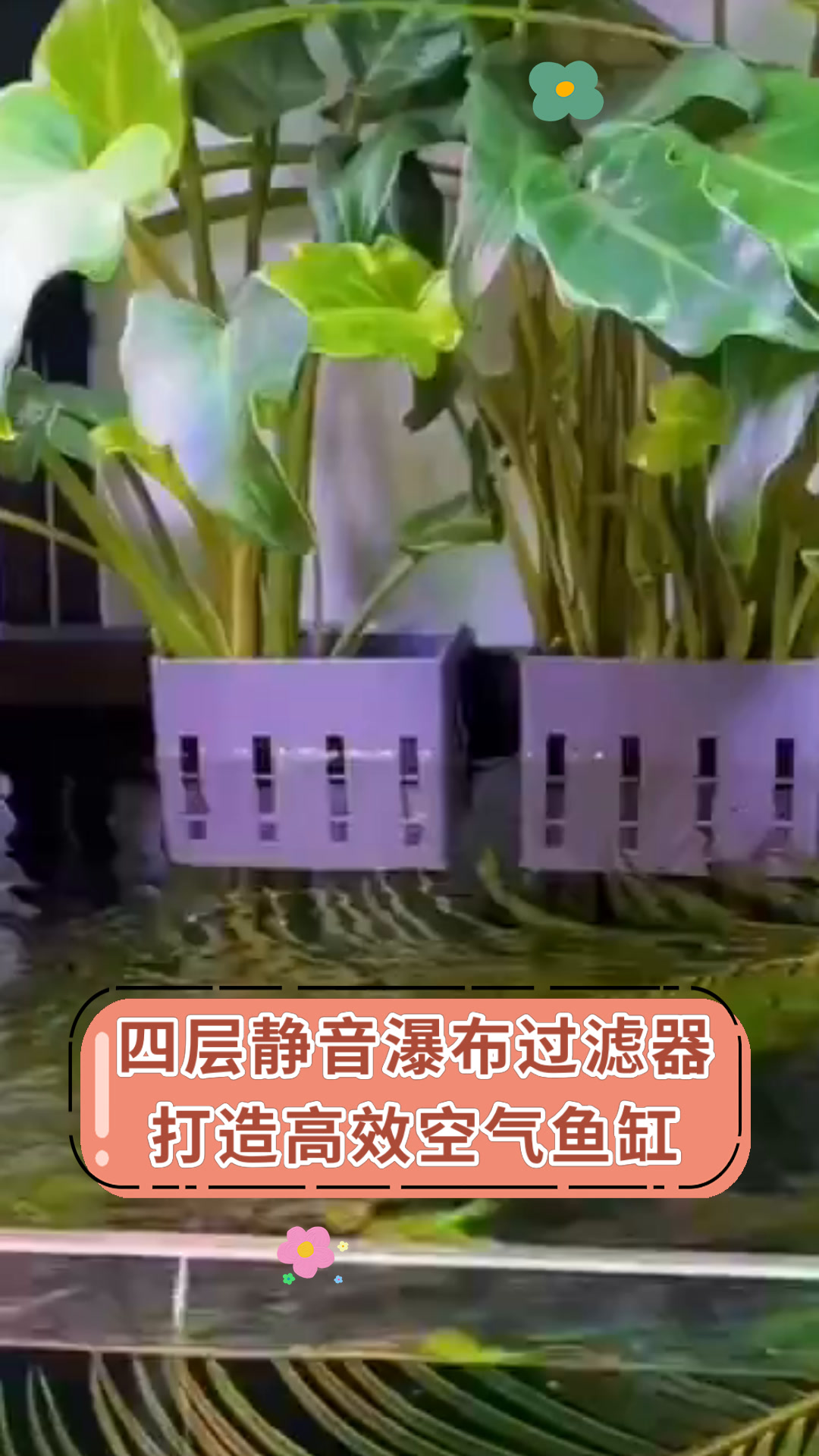 四层静音瀑布过滤器打造高效空气鱼缸