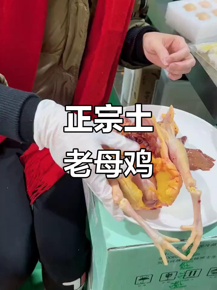 真正的土老母鸡,皮薄肉紧,油黄诱人
