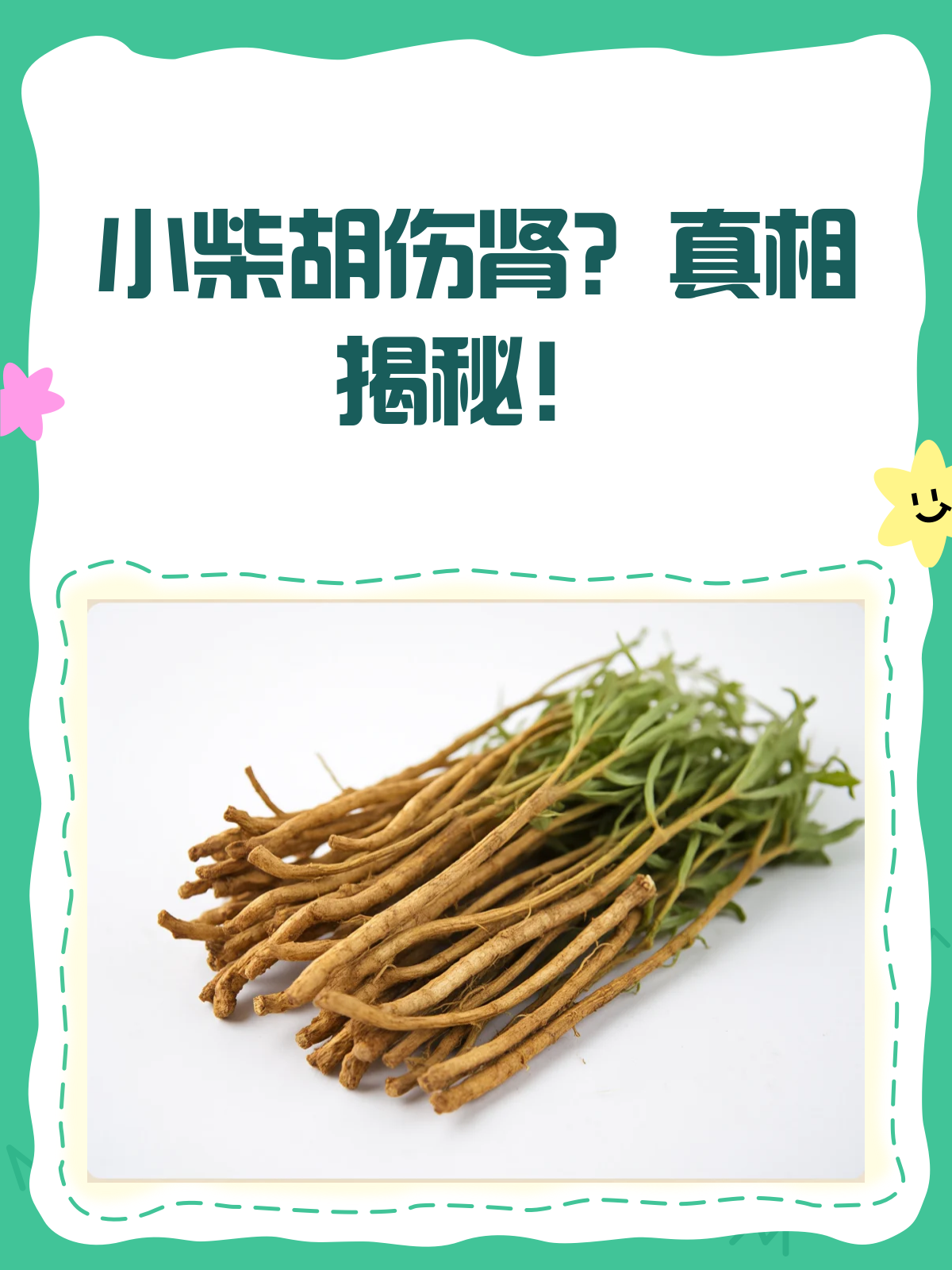 小柴胡伤肾?真相揭秘!