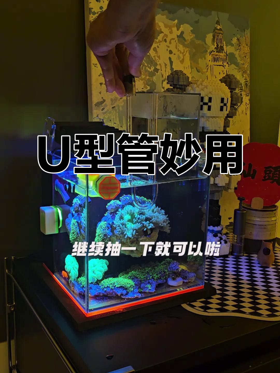 无需动手,U型管轻松搞定负压鱼缸安装!