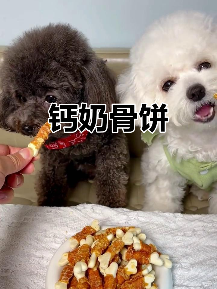 钙奶骨饼干,磨牙又补钙,泰迪最爱!