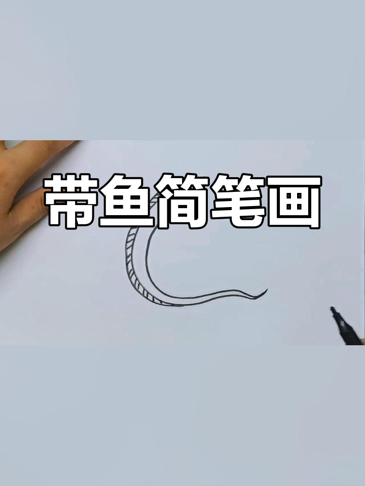 简单带鱼简笔画教程,轻松学会