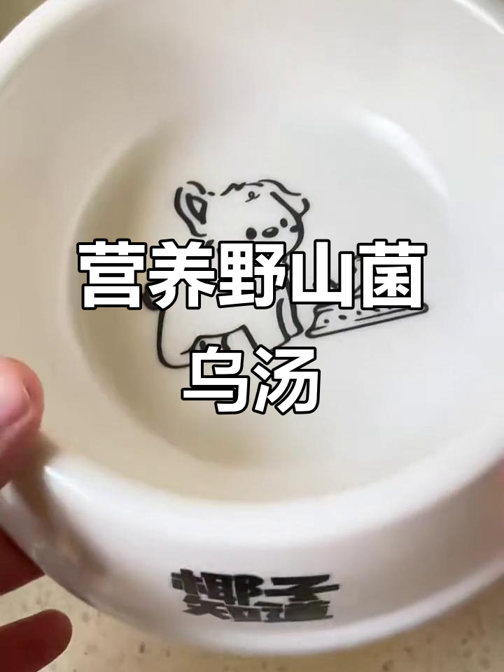 鲜嫩野山菌乌鸡汤，滋补又美味