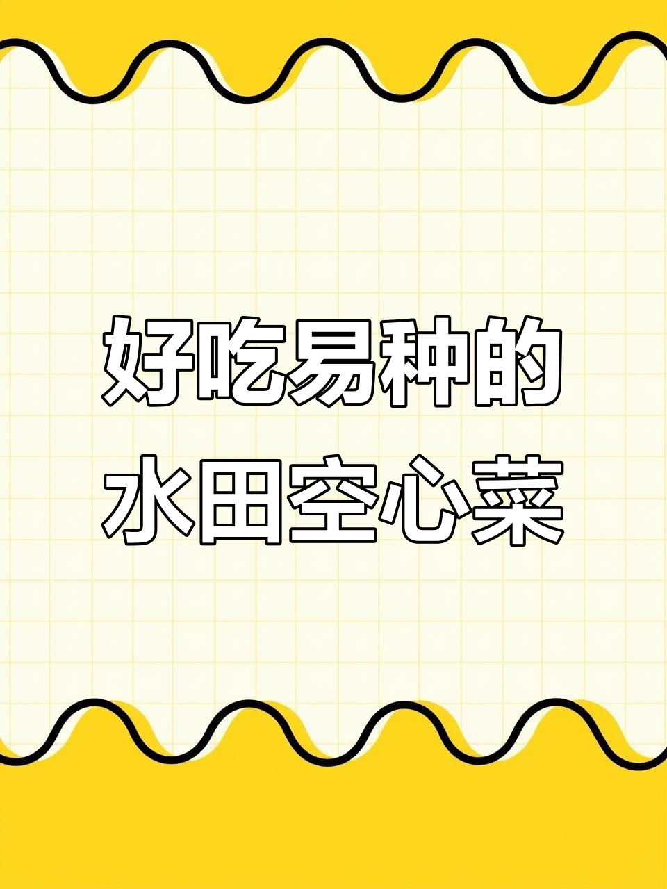 水田空心菜：美味又好种，夏季高产蔬菜